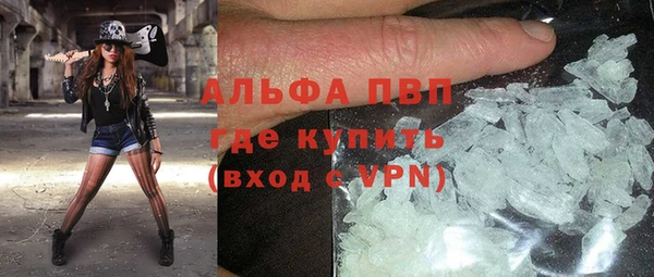стафф Алексин