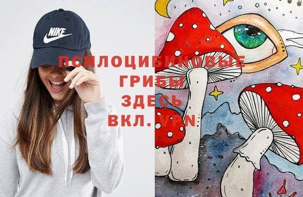 МДПВ Абаза