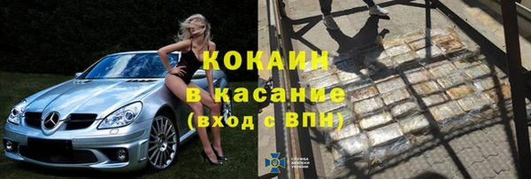 стафф Алексин